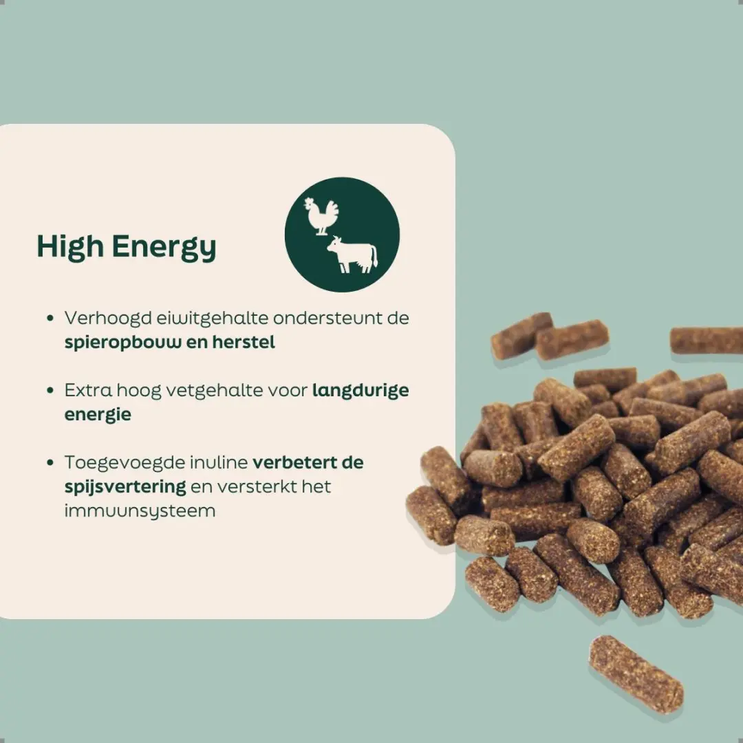 Wooof High Energy Droogvoer 14kg
