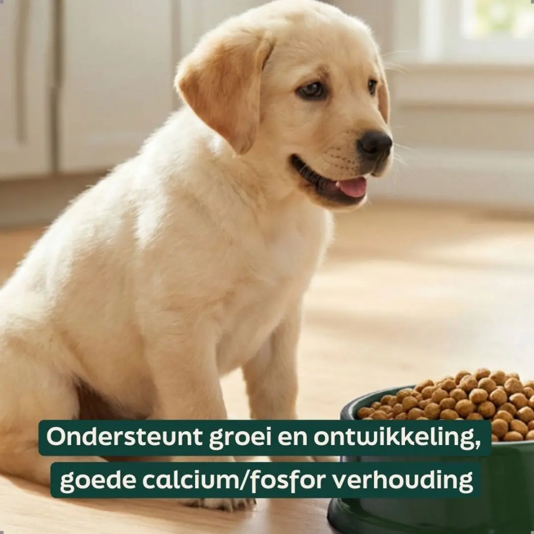 Wooof Puppy Krokant Hondenvoer 3kg