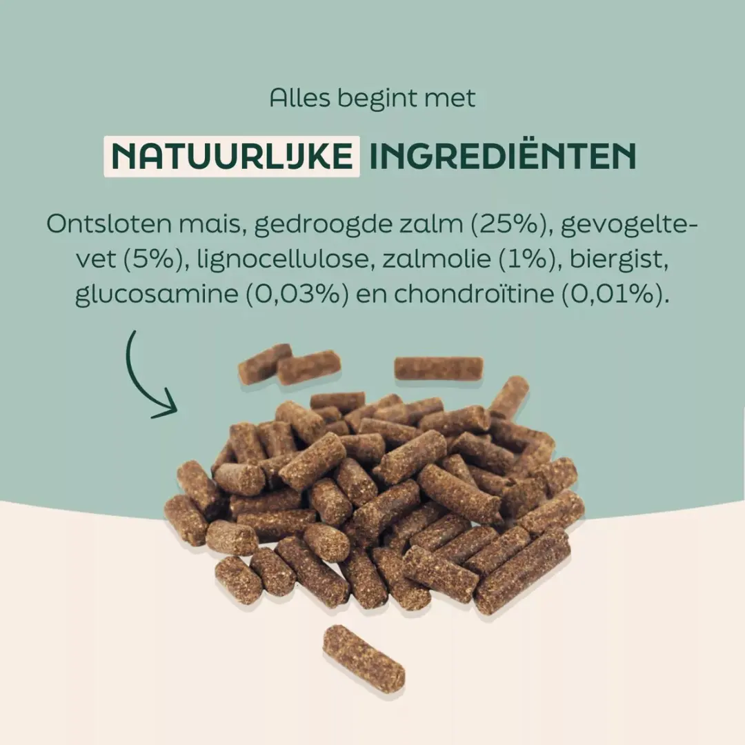 Wooof Zalm Geperste Hondenbrokken 18kg