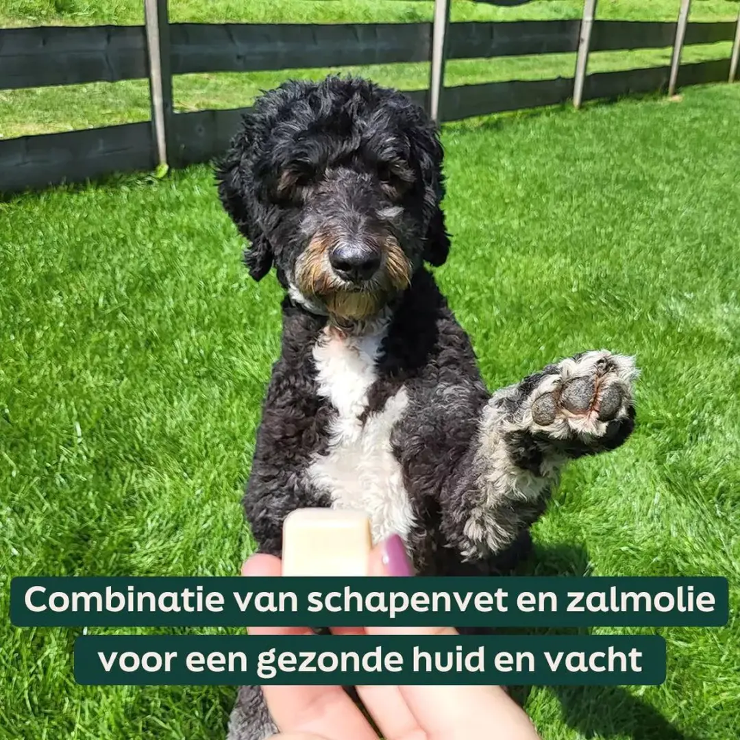 Wooof Schapenvet Bonbons met Zalmolie - 100 Stuks