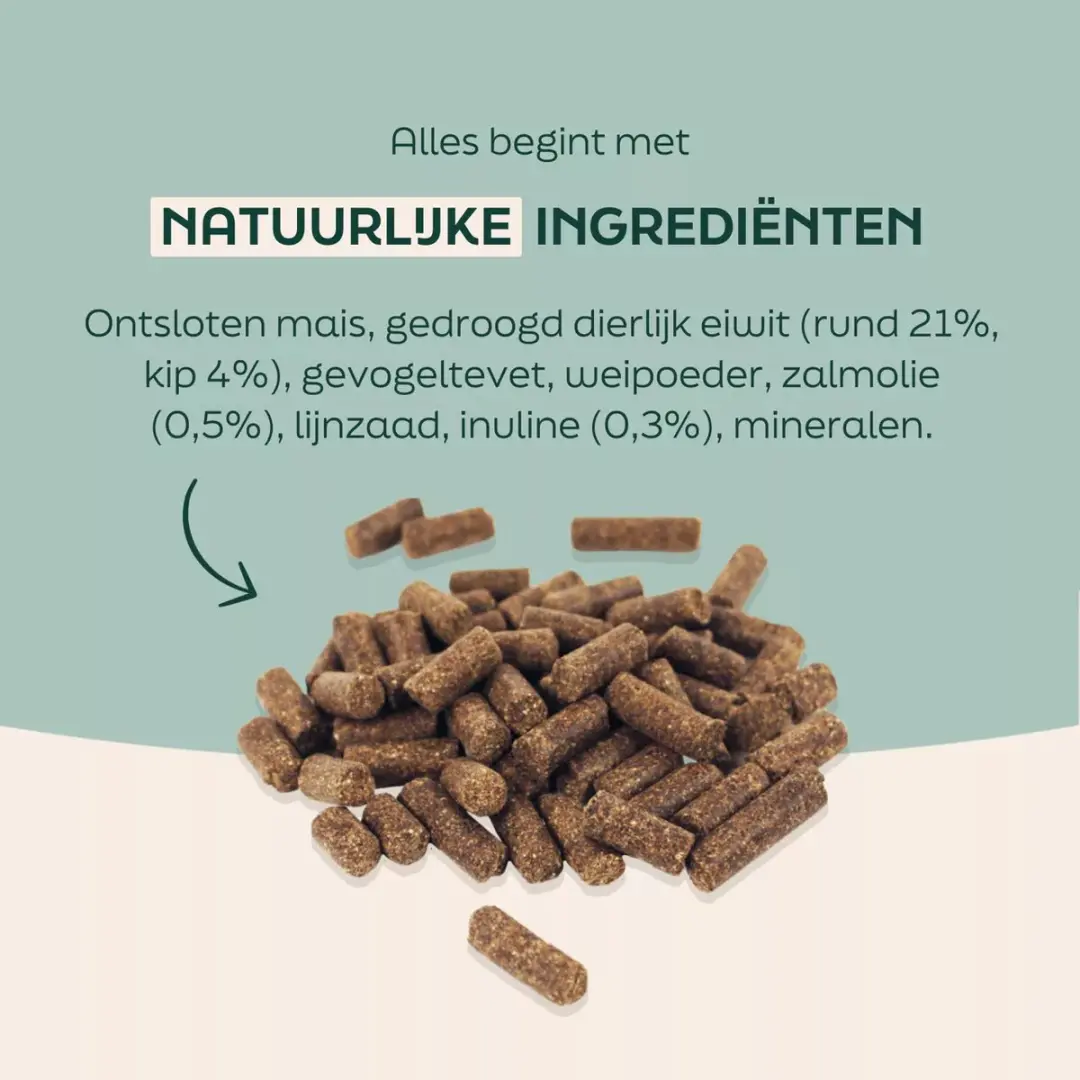 Wooof Regular Geperste Hondenbrokken 18kg - afbeelding 6 van 6