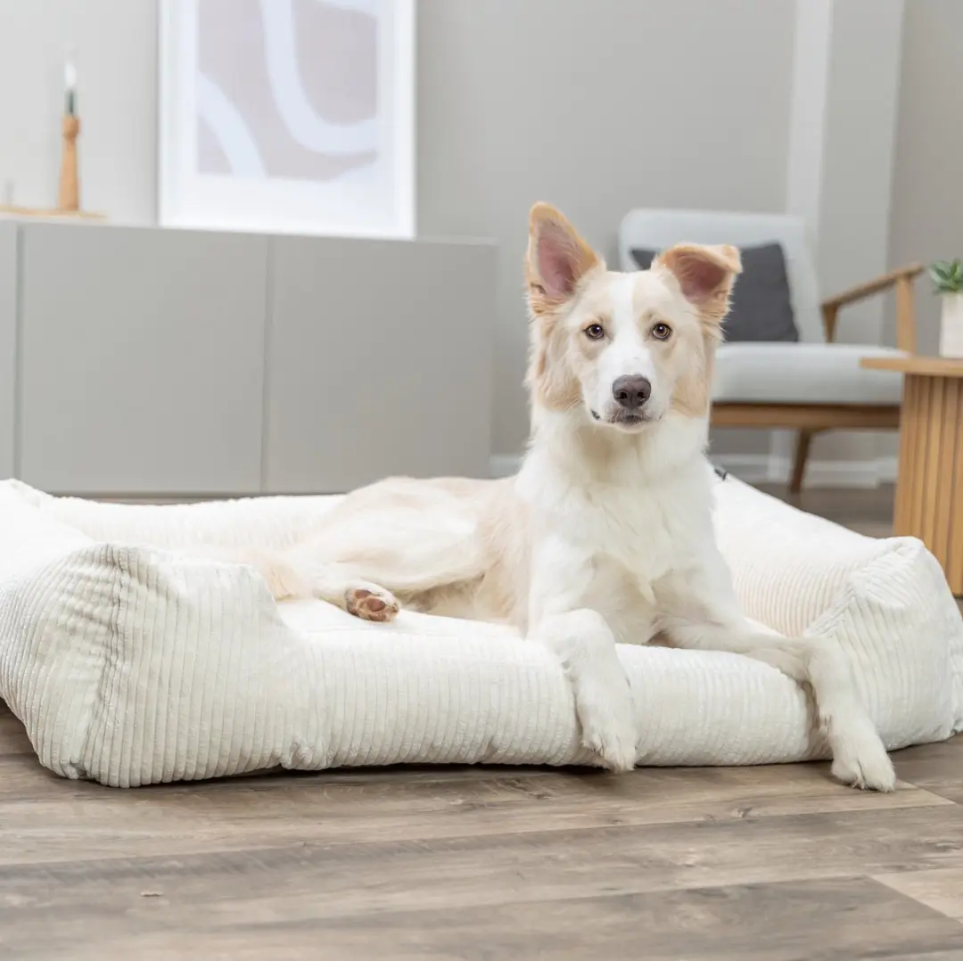 Trixie Vital Hondenmand Jonna Hoekig Ribfluweel 120x80cm - Crème - afbeelding 5 van 6