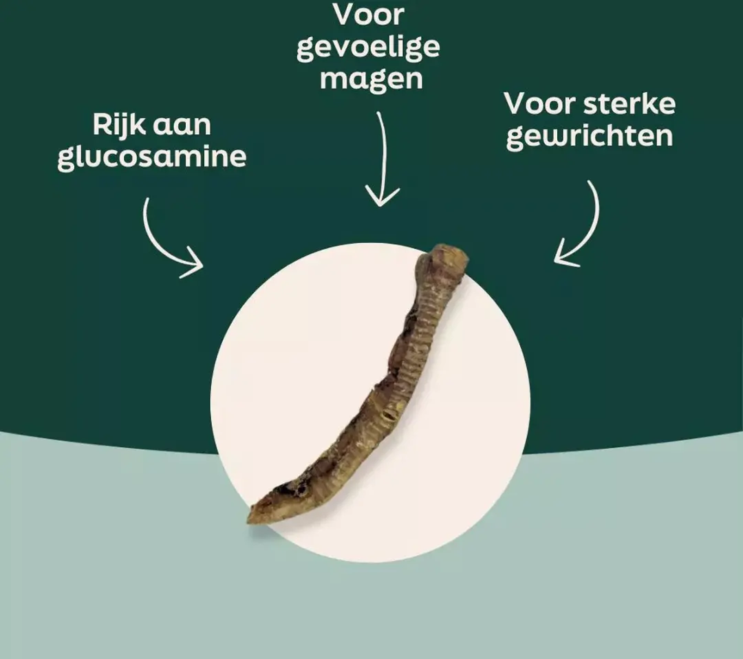 Wooof Lamsluchtpijp Hondensnack 400g