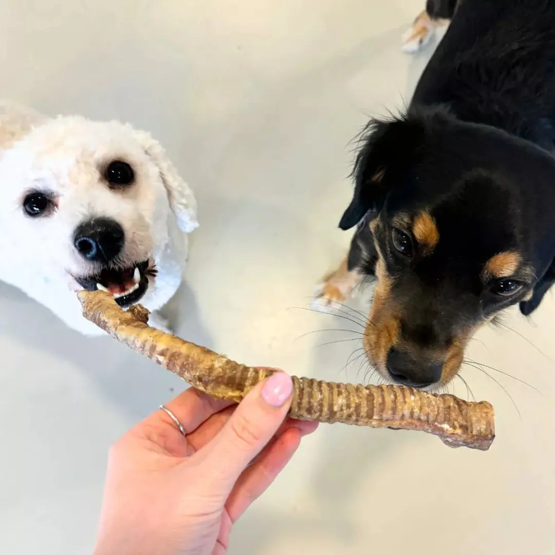 Wooof Lamsluchtpijp Hondensnack 400g