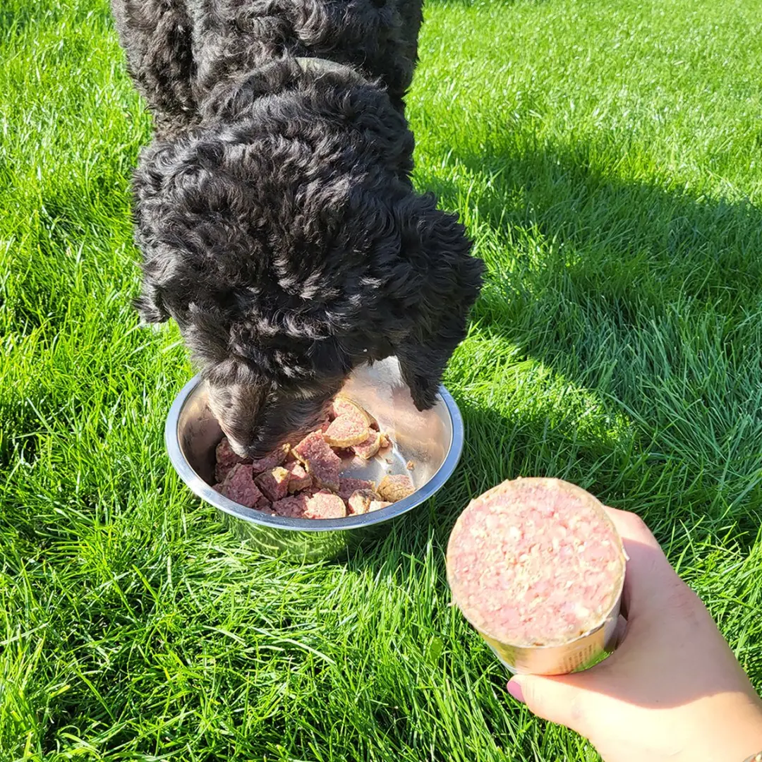 Wooof Hondenworst Eend Vers Vlees Natvoer - 10x800g