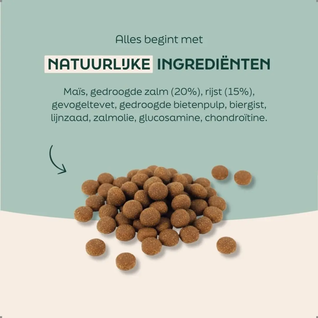 Wooof Zalm Krokant Hondenbrokken - 3kg