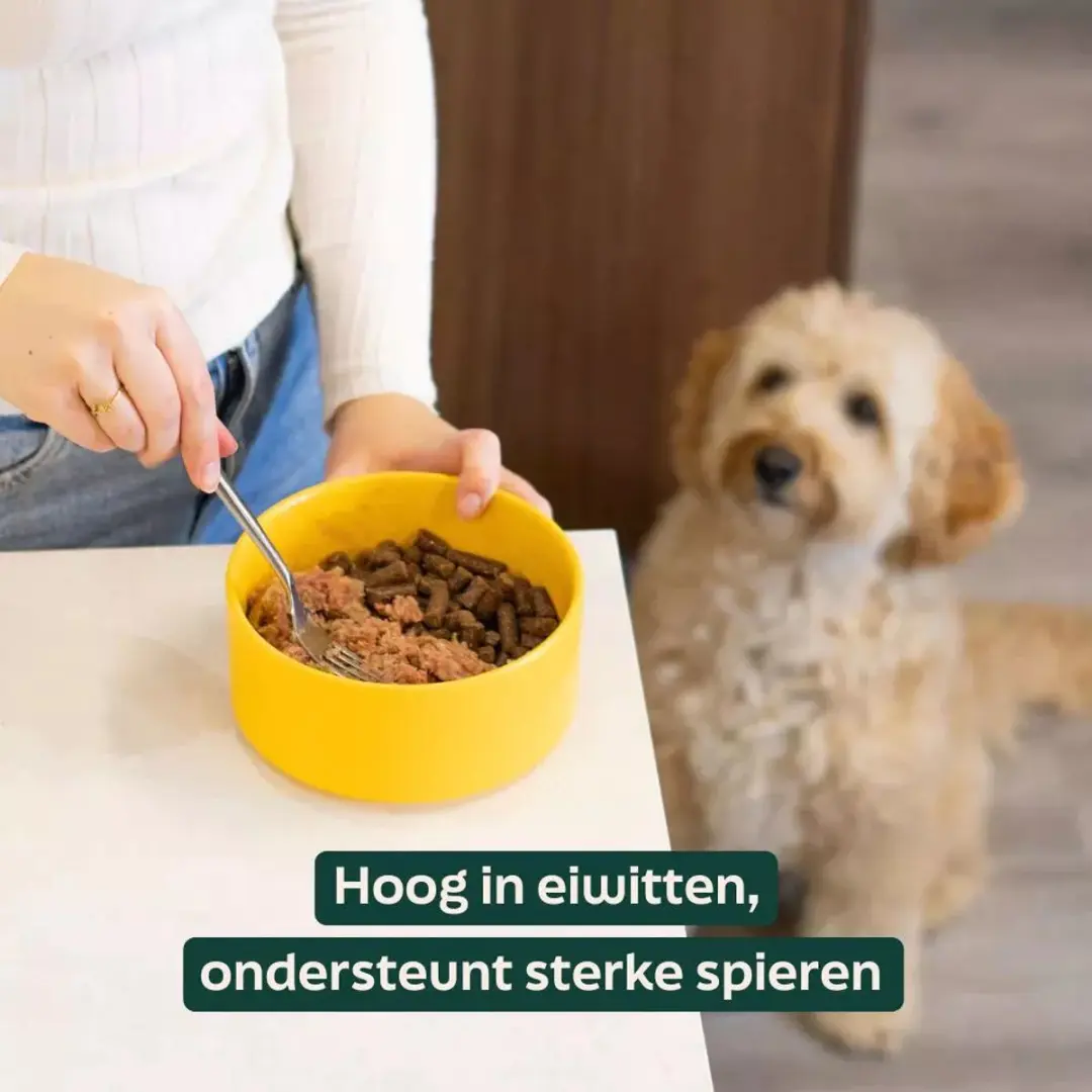 Wooof Hondenworst Kalkoen 10x900g