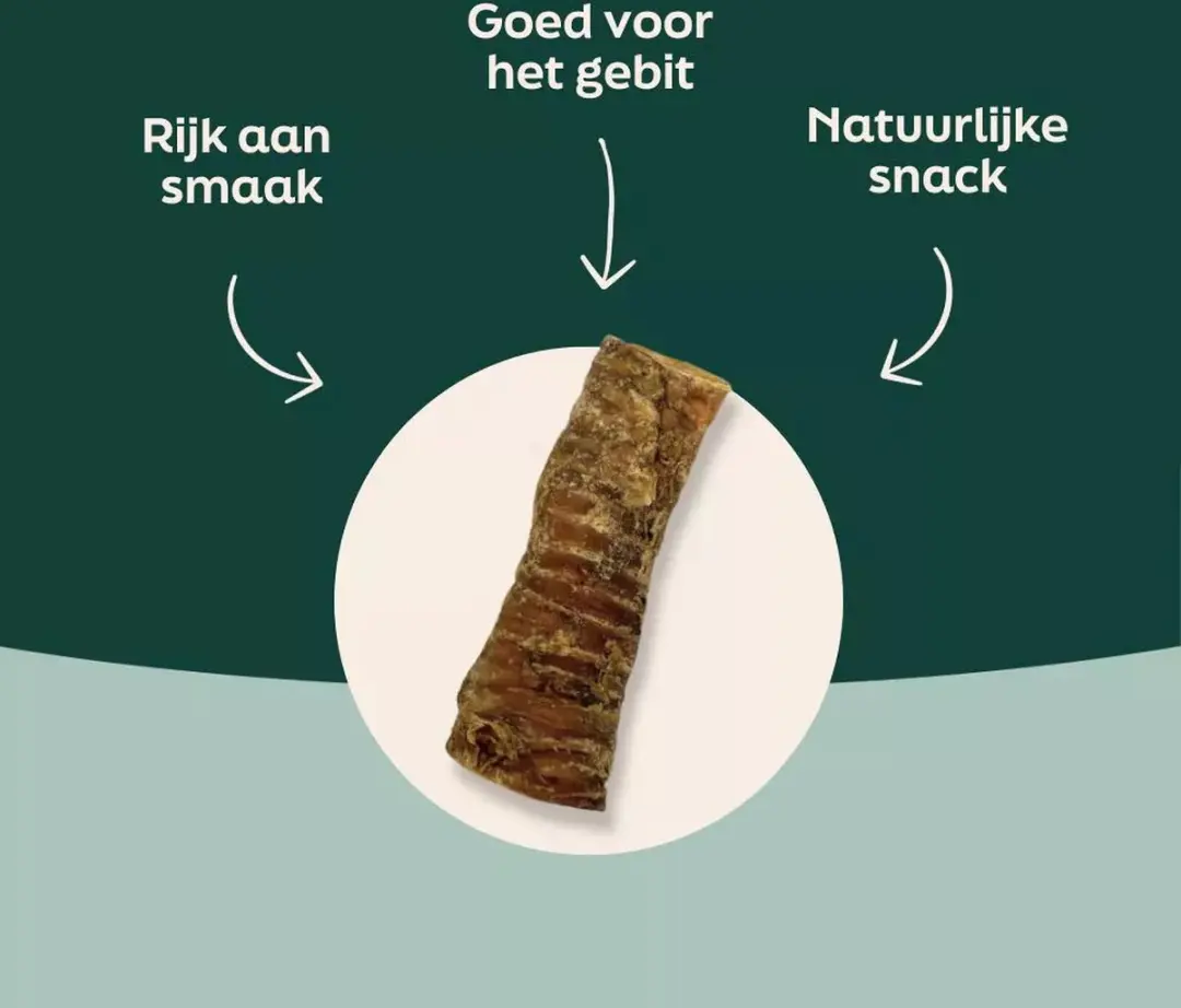Wooof Runderluchtpijp Hondensnack - 2kg