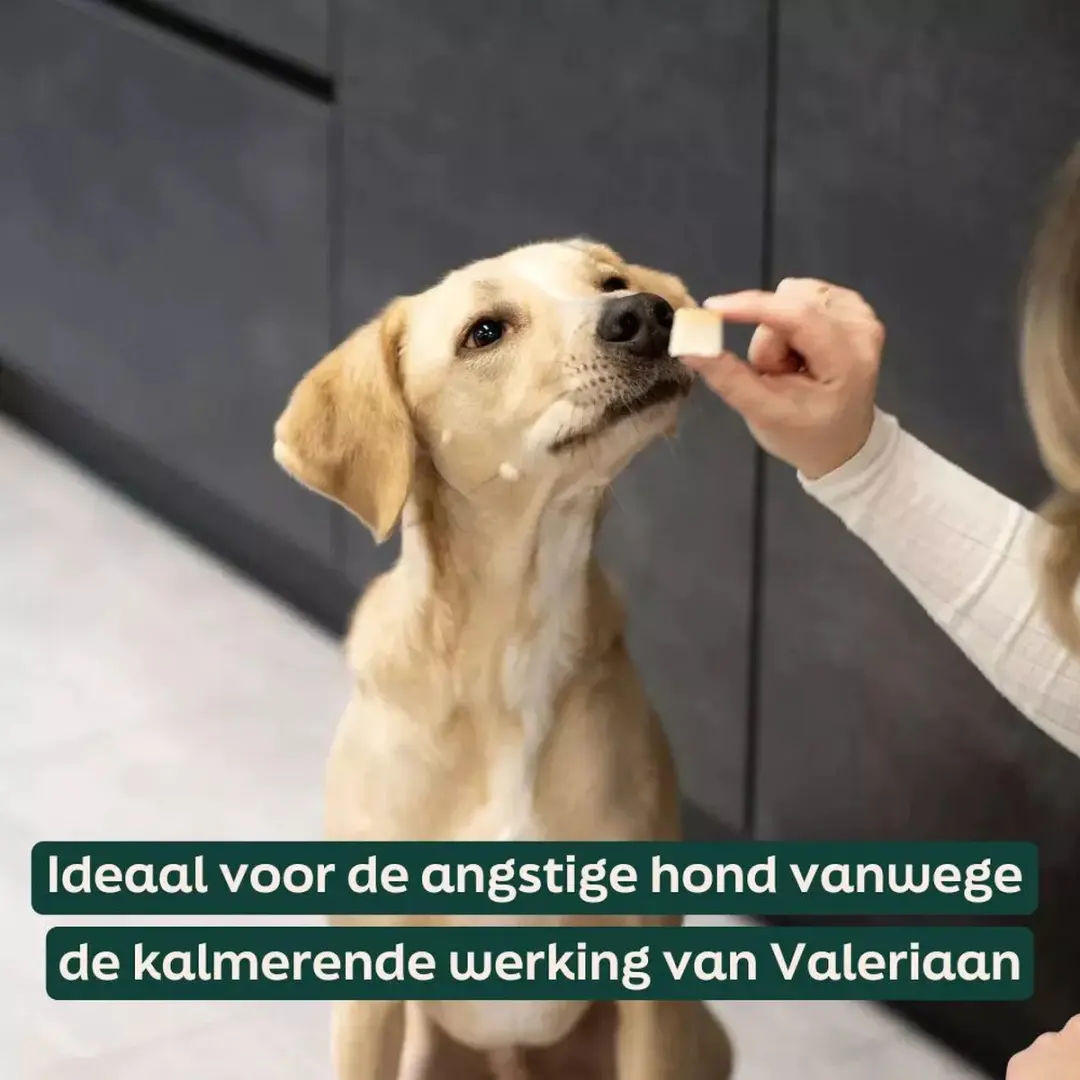 Wooof Schapenvet Bonbons met Valeriaan - 100 Stuks