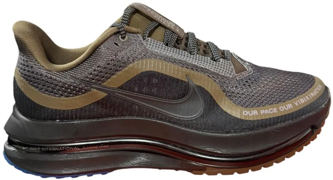 Nike Pegasus Premium 42.5