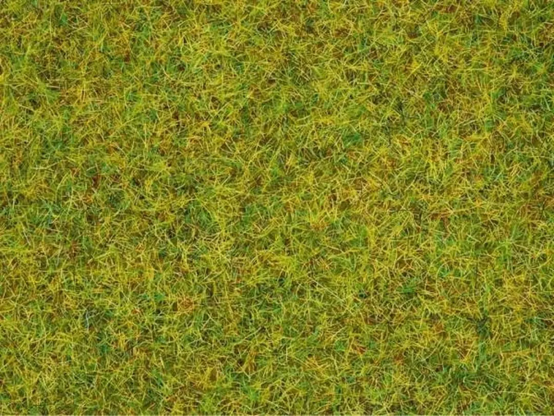 Noch Strooigras Zomerweide Schaal 0 - Groen