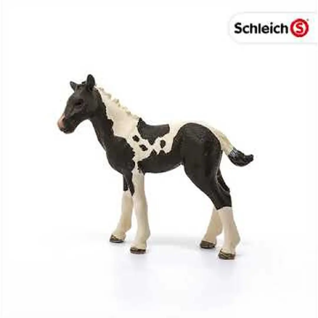 Schleich Pinto Veulen 13803