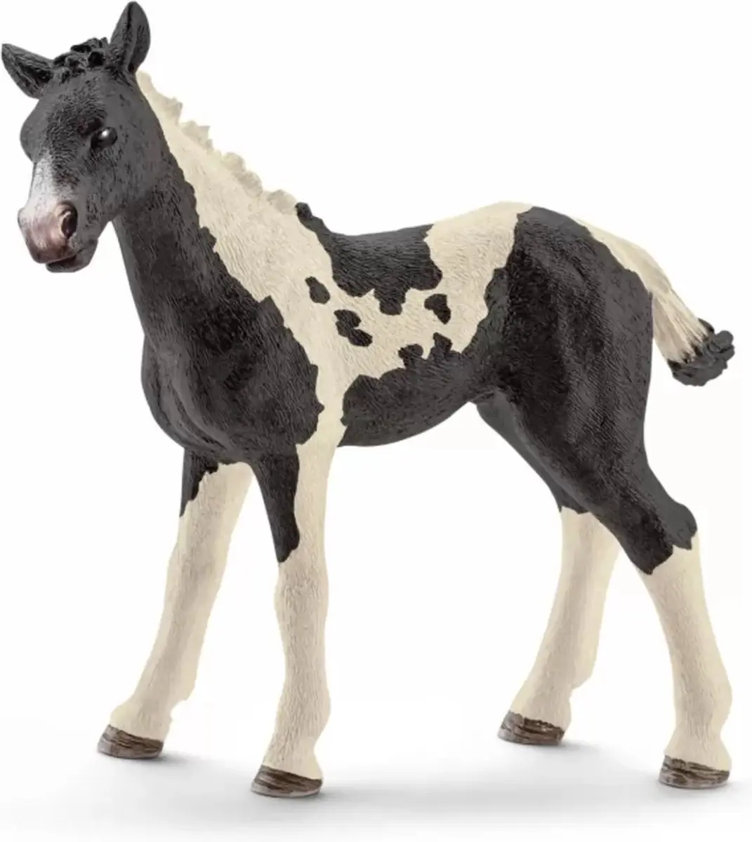 Schleich Pinto Veulen 13803