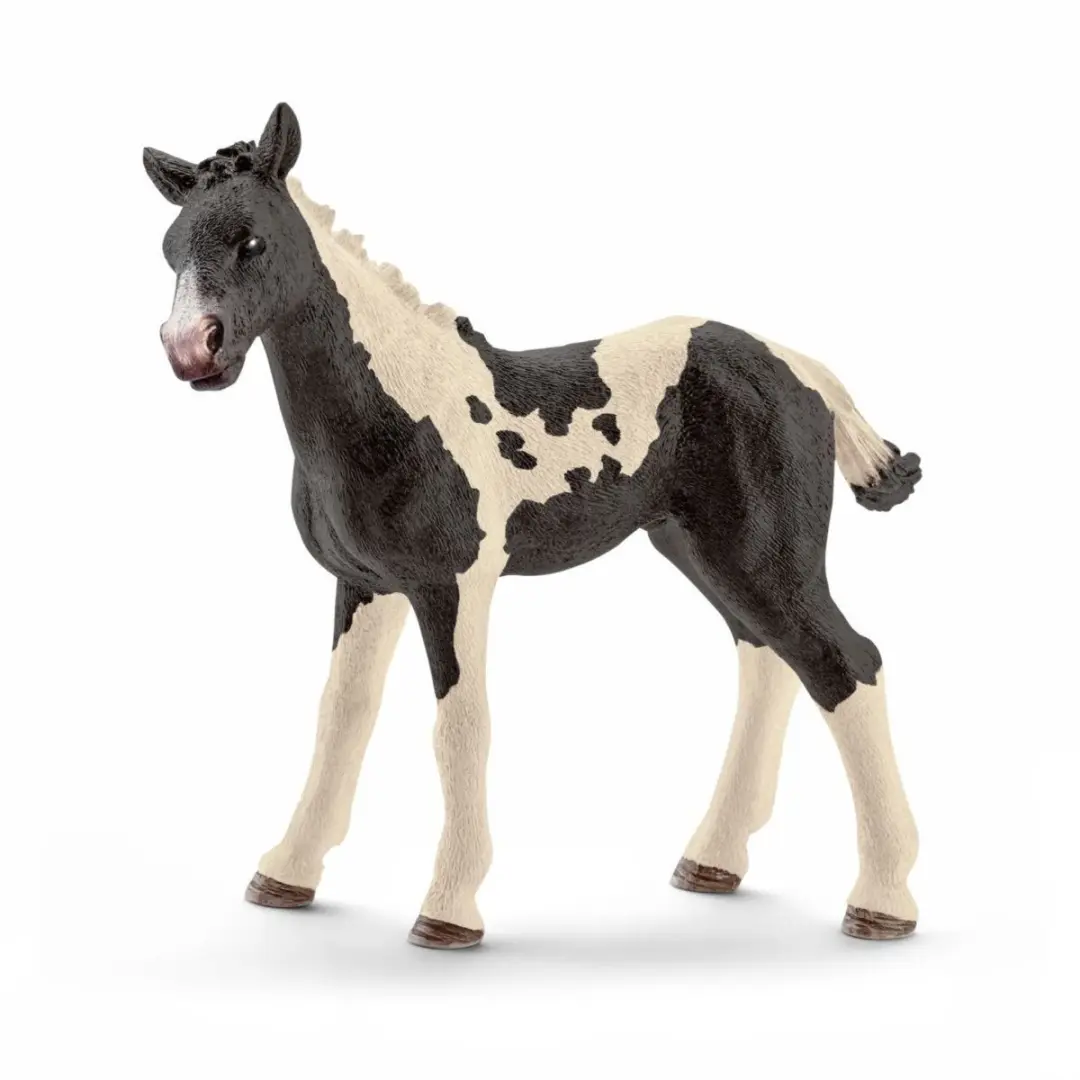 Schleich Pinto Veulen 13803