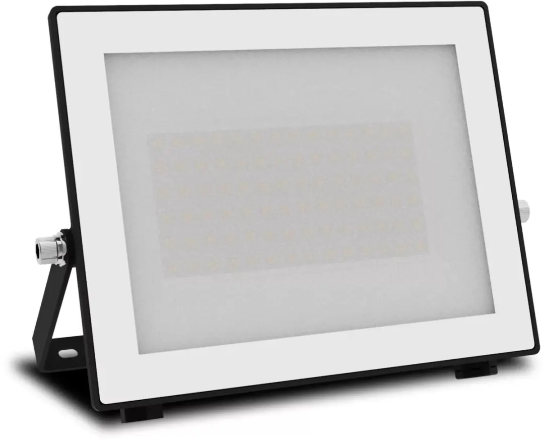 Philips Lois Floodlight 50W