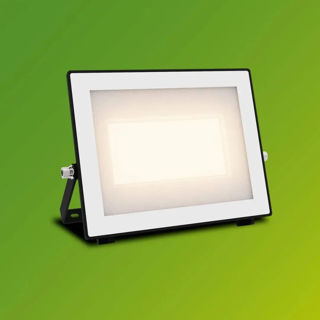 Philips Lois Floodlight 50W - Zwart