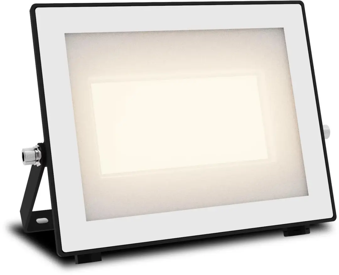 Philips Lois Floodlight 50W - Zwart