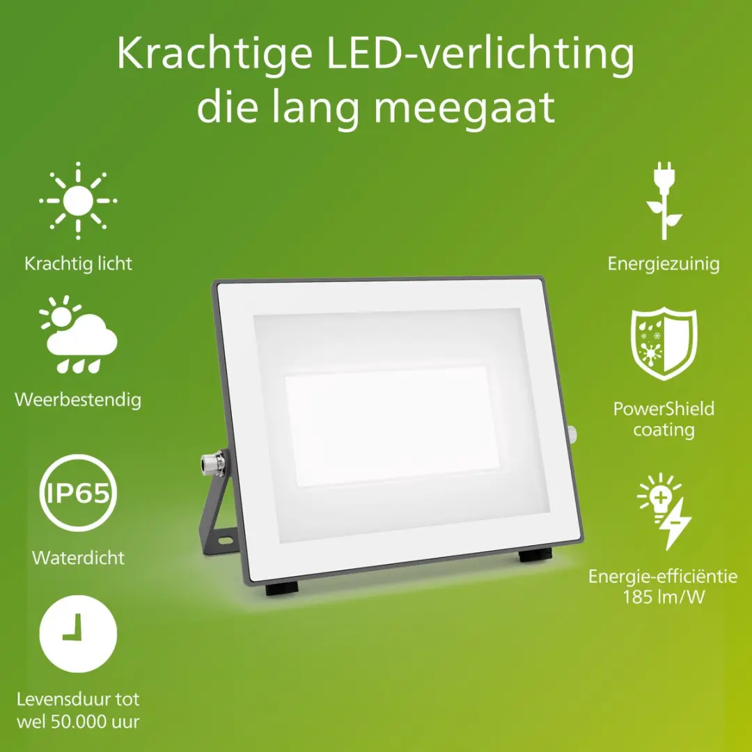 Philips Lois Floodlight 24W - Antraciet
