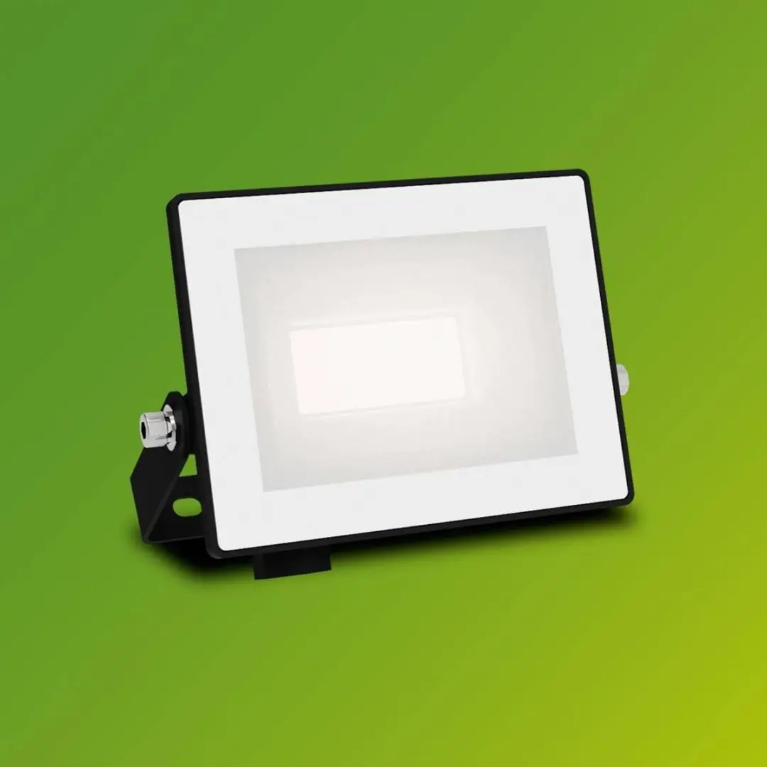 Philips Lois Floodlight 10W - Zwart