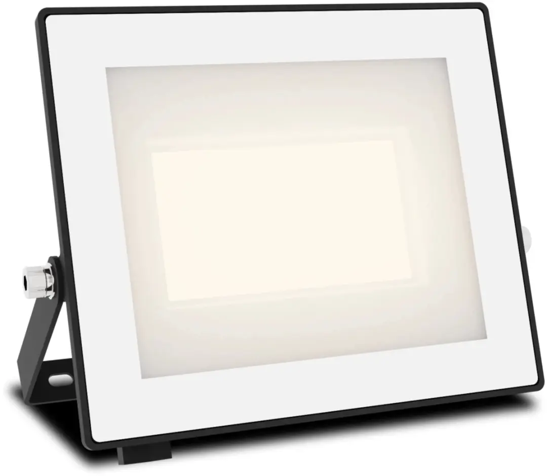 Philips Lois Floodlight 30W - Zwart