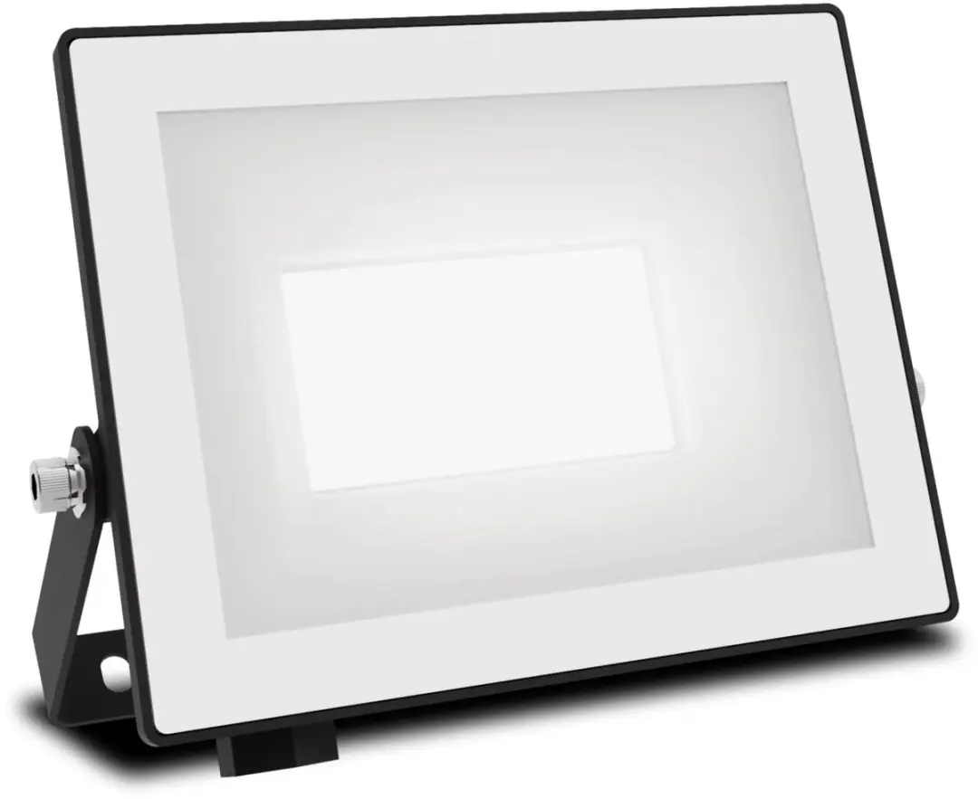 Philips Lois Floodlight 20W - Koel wit 5000K - Zwart