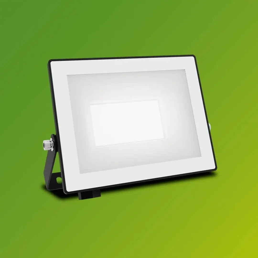 Philips Lois Floodlight 20W - Koel wit 5000K - Zwart - afbeelding 6 van 6
