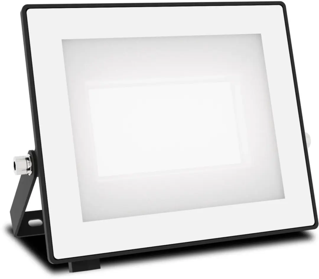 Philips Lois Floodlight 30W - Koel wit 5000K - Zwart