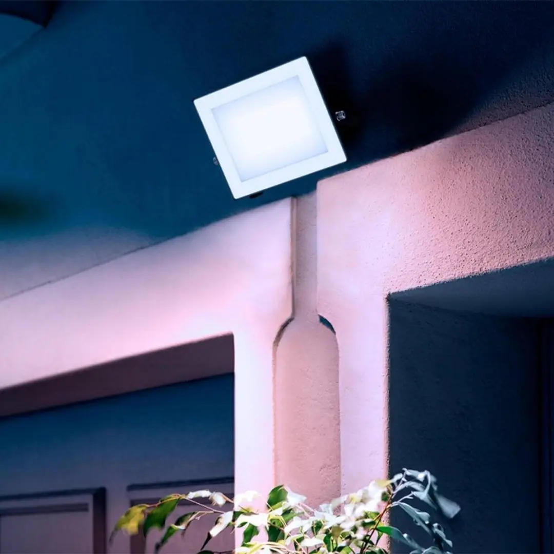 Philips Lois Floodlight 30W - Koel wit 5000K - Zwart