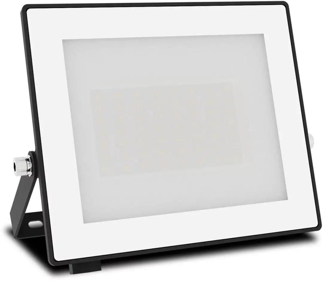 Philips Lois Floodlight 30W