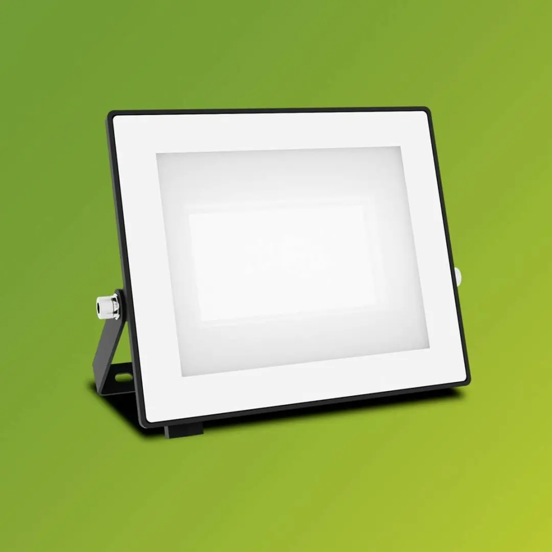 Philips Lois Floodlight 30W - Koel wit 5000K - Zwart - afbeelding 6 van 6