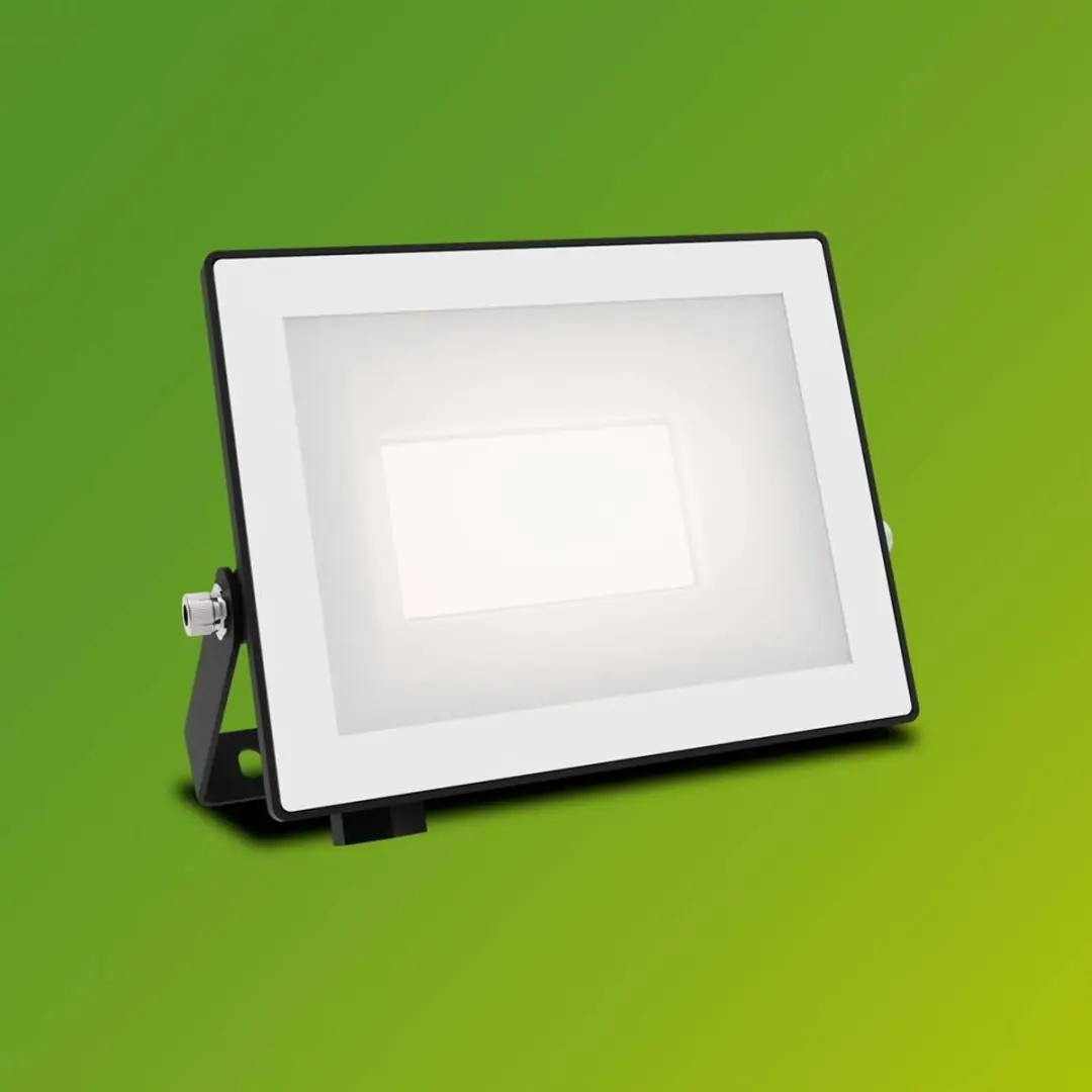 Philips Lois Floodlight 20W - Zwart