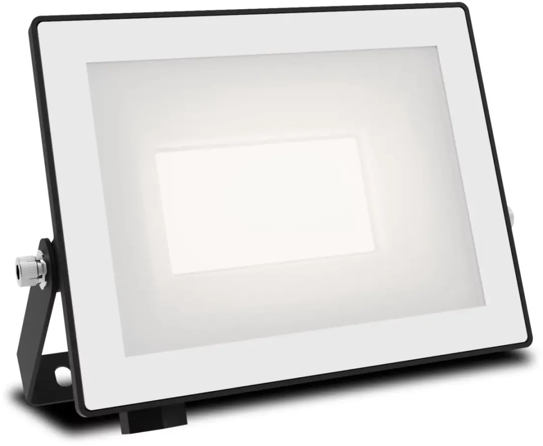 Philips Lois Floodlight 20W - Zwart