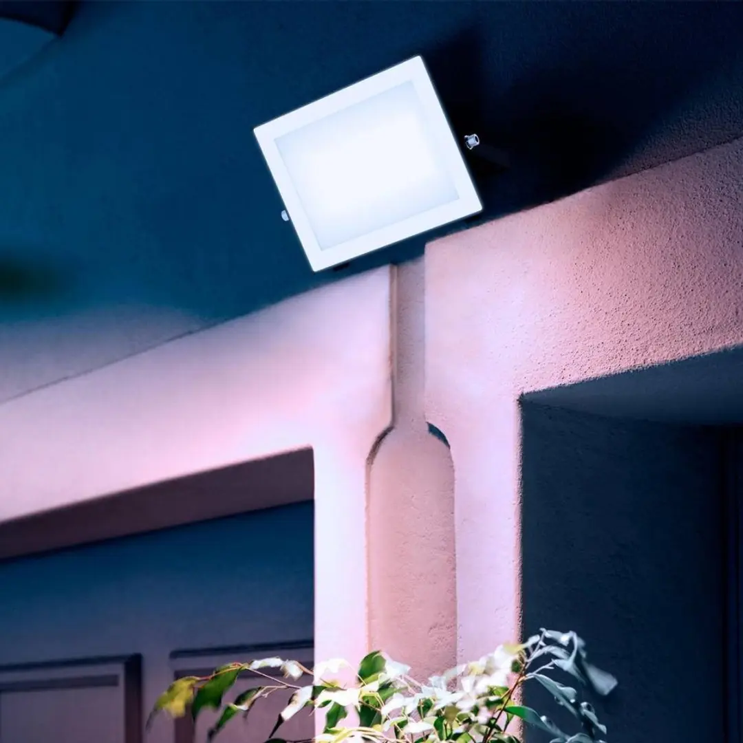 Philips Lois Floodlight 50W - 5000K - Zwart