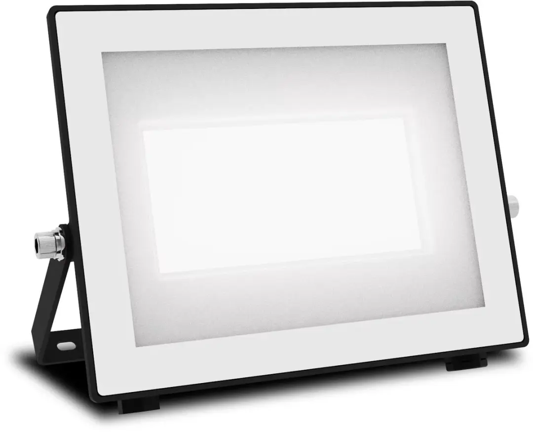 Philips Lois Floodlight 50W - 5000K - Zwart