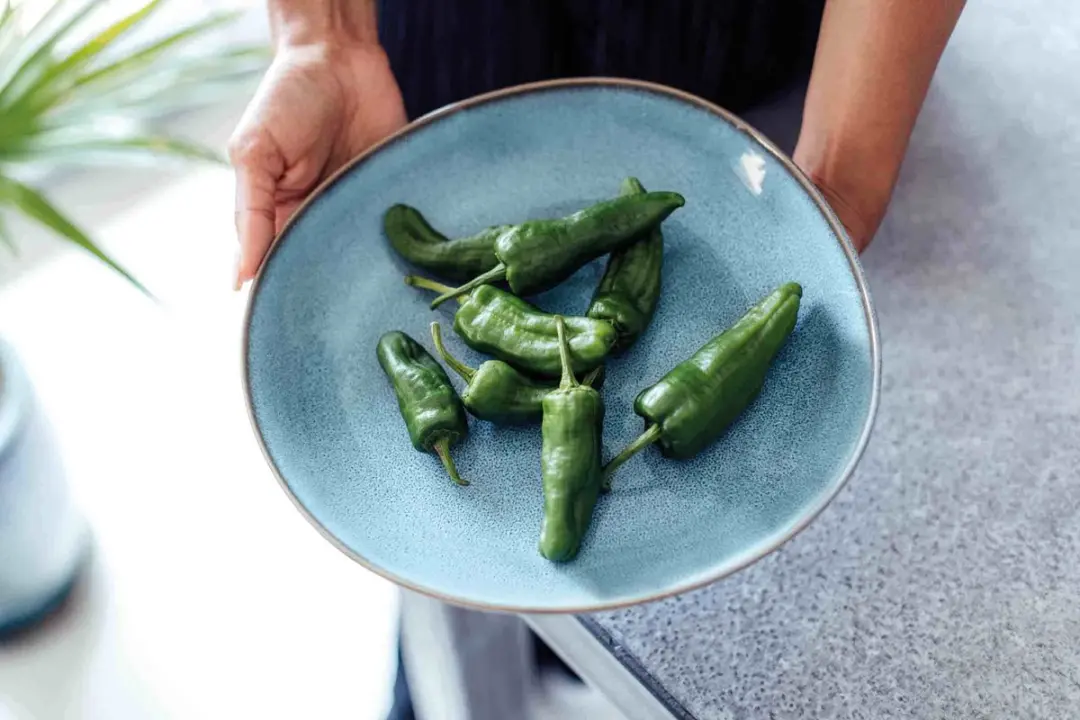 Villeroy & Boch Serviesset Lave Glace - 8-delig - Groen