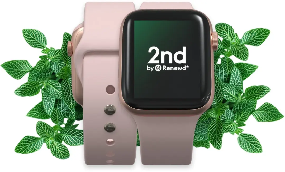 Apple Watch Series 6 44mm