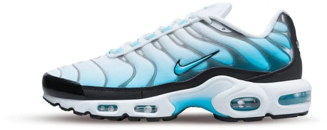 Nike Air Max Plus FD9751-100