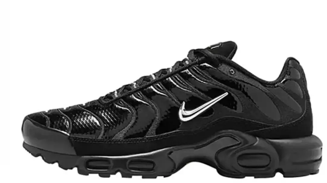 Nike Air Max Plus FJ2591-001