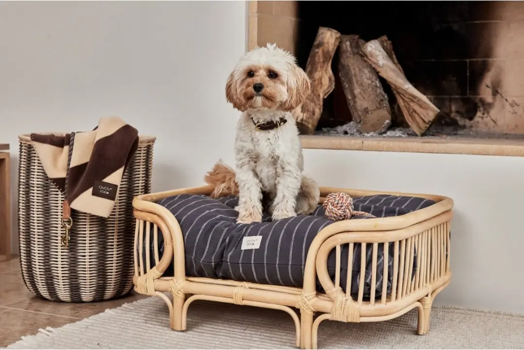 OYOY Kyoto Dog Cussen Small - 26cm - Anthracite