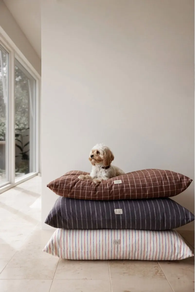 OYOY Kyoto Dog Cussen Large - 26cm - Anthracite