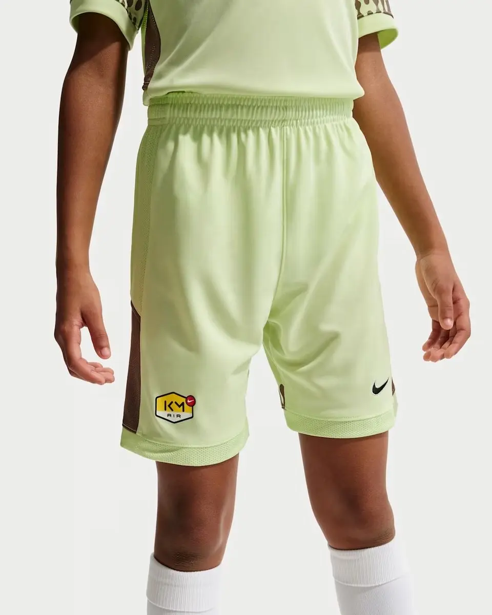 Nike ACG DF Short SS