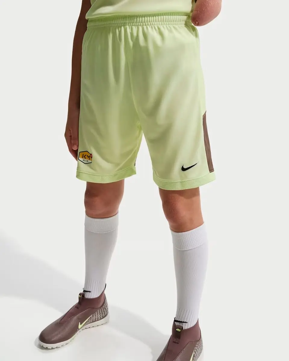 Nike ACG DF Short SS - Groen - L - afbeelding 6 van 6