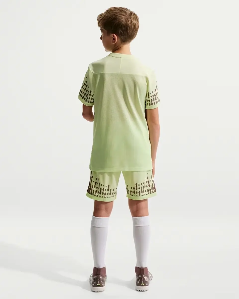 Nike ACG DF Short SS - Groen - L