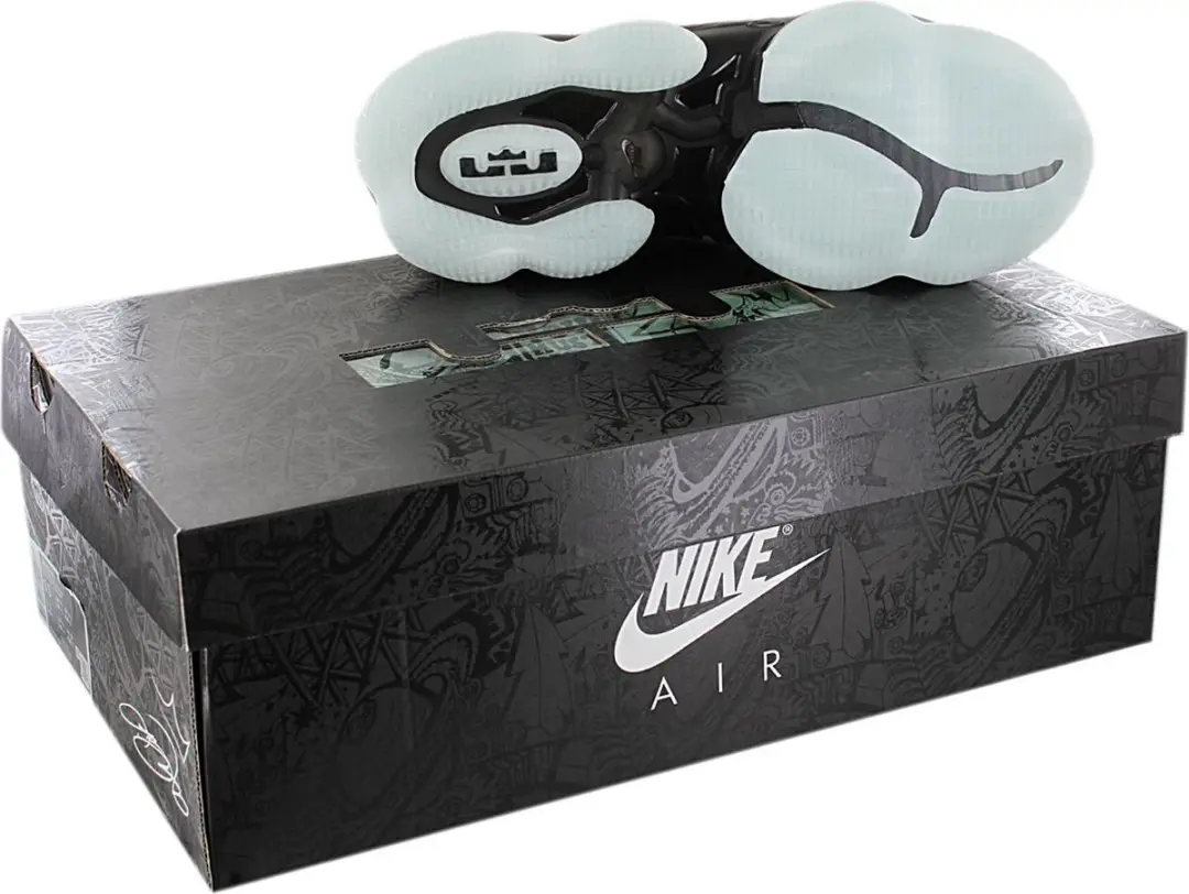 Nike LeBron 19 XIX Heren Basketbalschoenen CZ0203-003 - Zwart