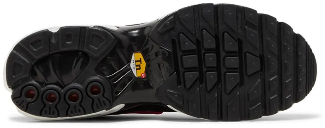Nike Air Max Plus DZ3670-500 - Maat 44