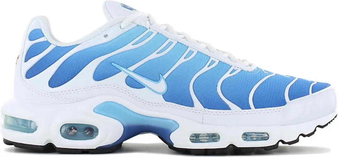 Nike Air Max Plus TN 852630-411