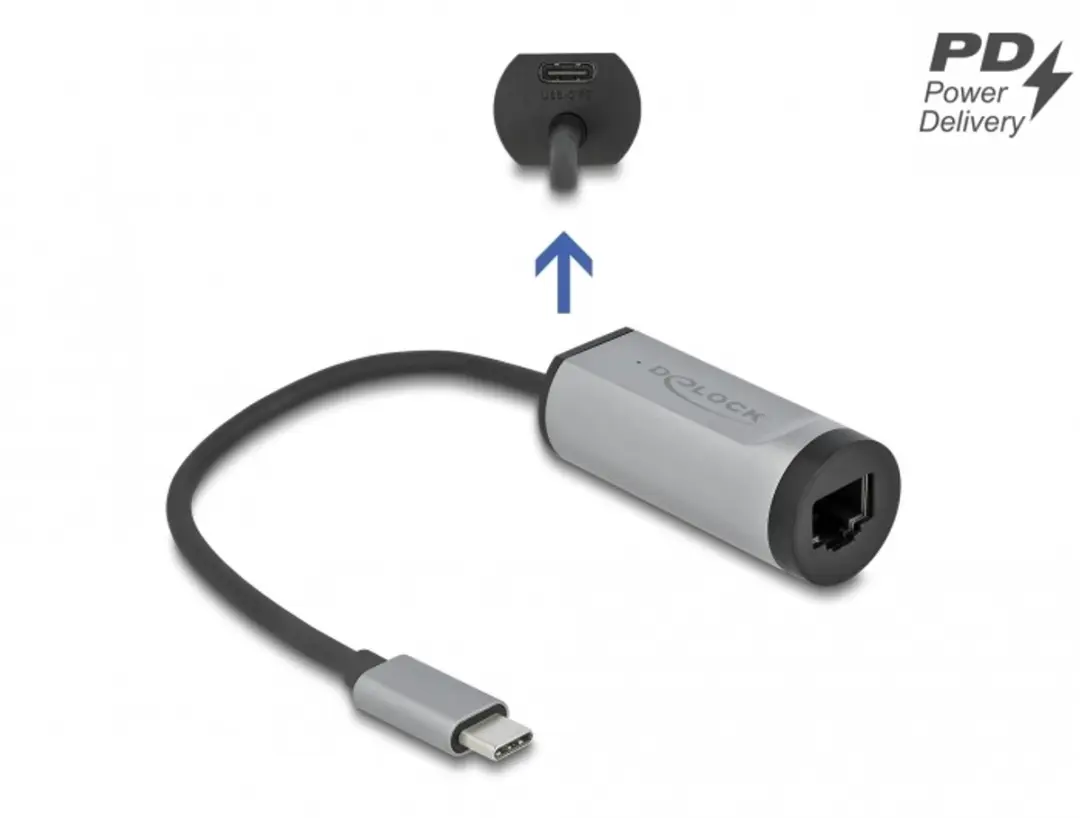 Delock 64116 USB-C naar Gigabit LAN Adapter - 5000 Mbit/s - Grijs