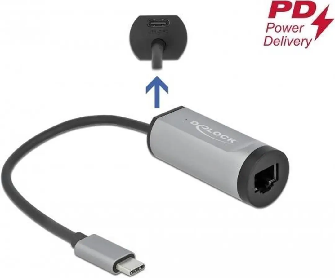 Delock 64116 USB-C naar Gigabit LAN Adapter - 5000 Mbit/s - Grijs