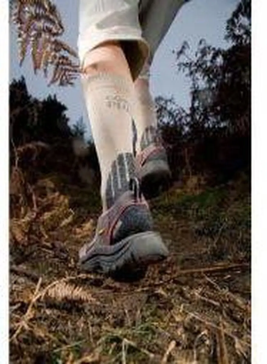 Care Plus Bugsox Adventure Wandelsokken 38-40 - Insectenwerend
