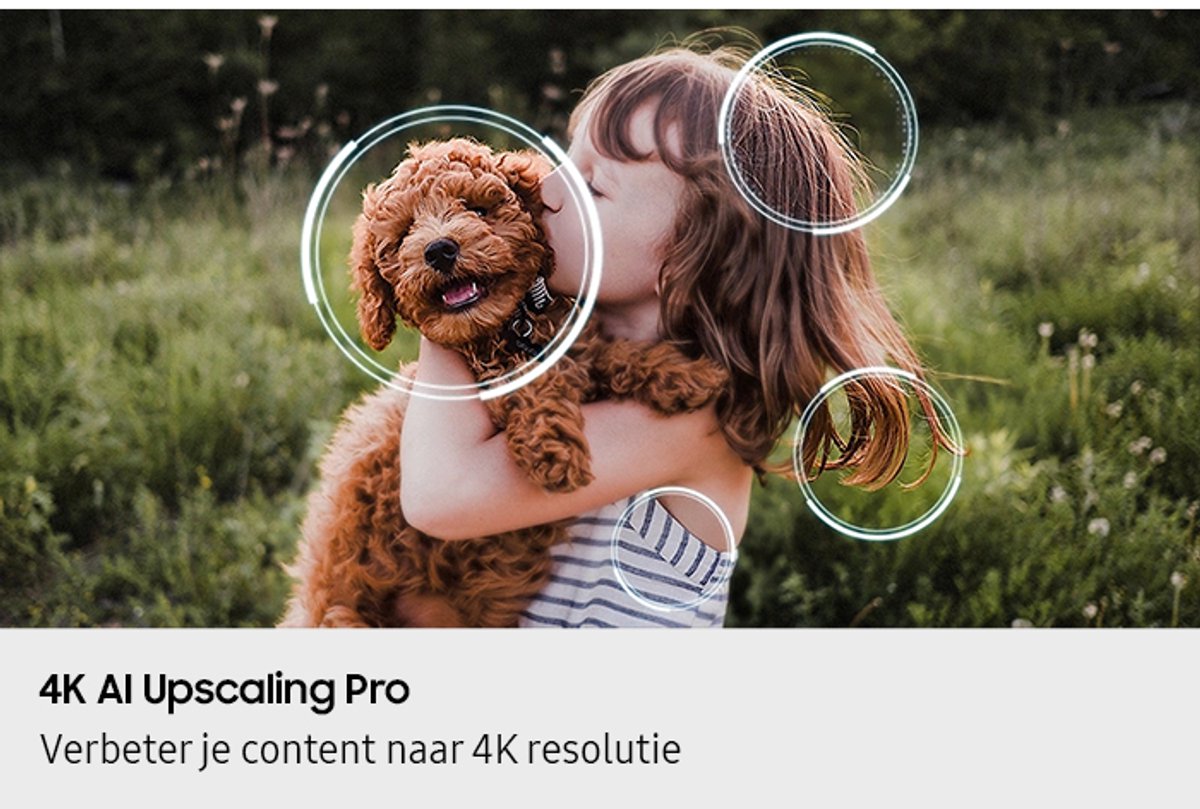 Samsung QE42S92F - 42 inch - 4K OLED - 2025